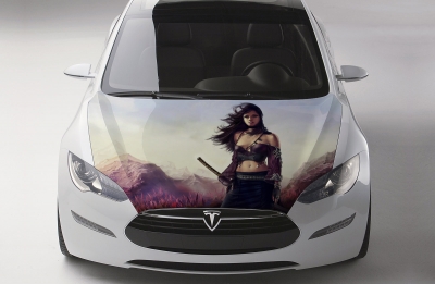 Винилография на капот K6024